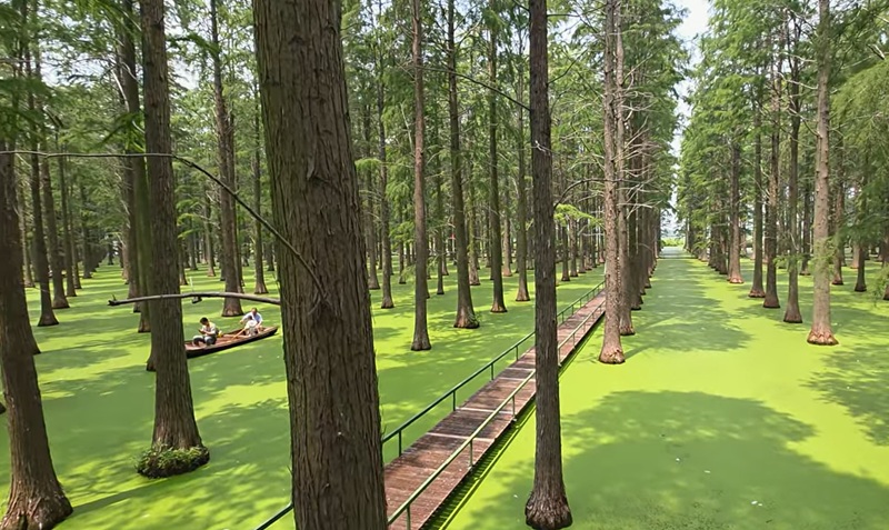 Двухдневный тур в Янчжоу - сады, каналы и природа