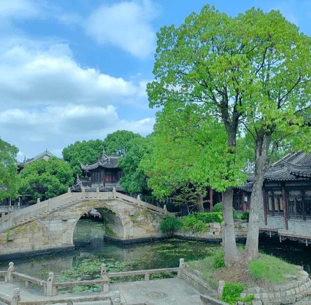 Водные каналы и отражения мостов в парке