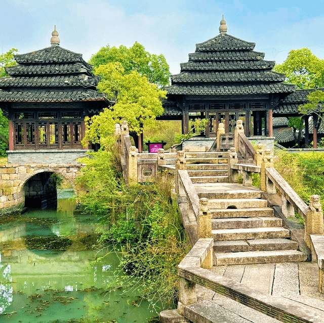 Вековые деревья гинкго и камфорные деревья