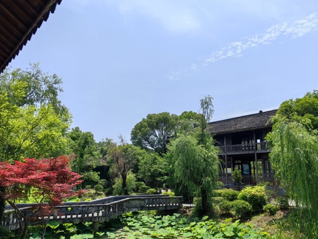 Панорамные виды на парк