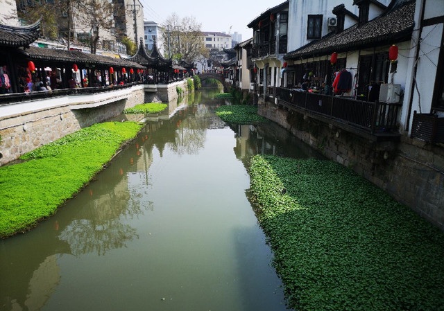 Знаменитые пельмени сяолунбао в Нансяне