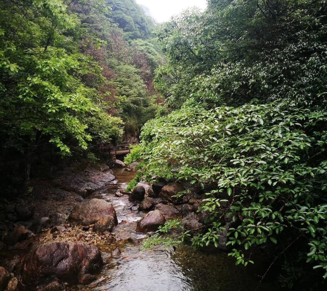 Интерьер даосского храма Нютоушань