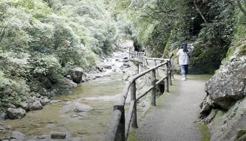 Дорога через бамбуковый лес к парку Нютоушань