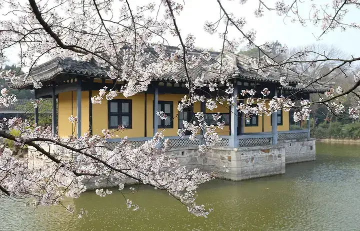 Шоу «Девять драконов извергают воду» - впечатляющее представление в Линшане