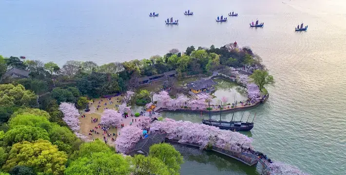 Цветущие сакуры в парке Юаньтоучжу весной