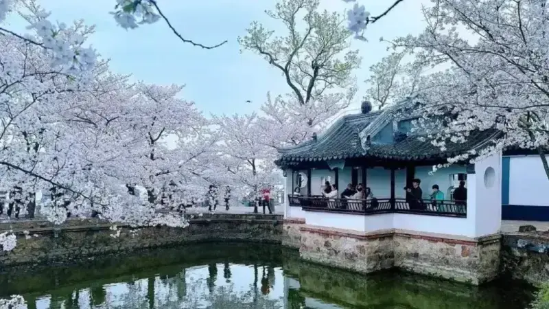 Паром на Остров Небожителей (Тайхусяньдао) с Юаньтоучжу