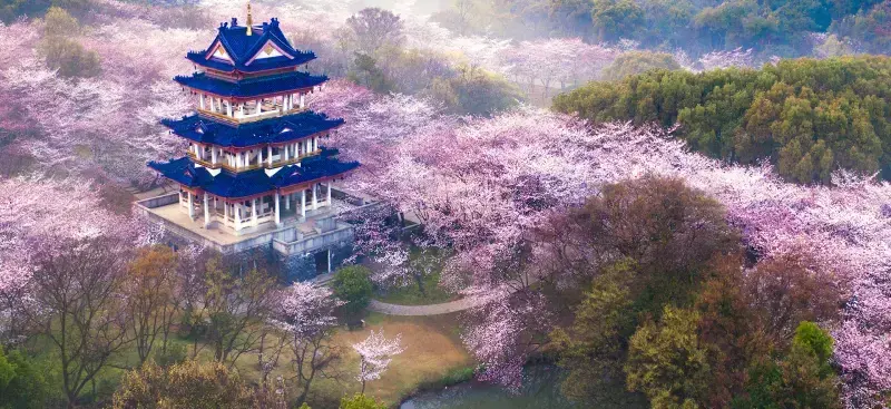 Статуи и алтари у подножия Большого Будды