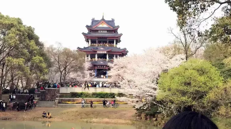 Панорамный вид на весь комплекс Линшань