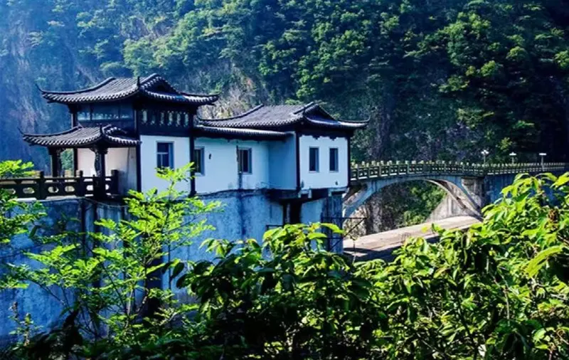 Бамбуковый лес вокруг водопада Усе