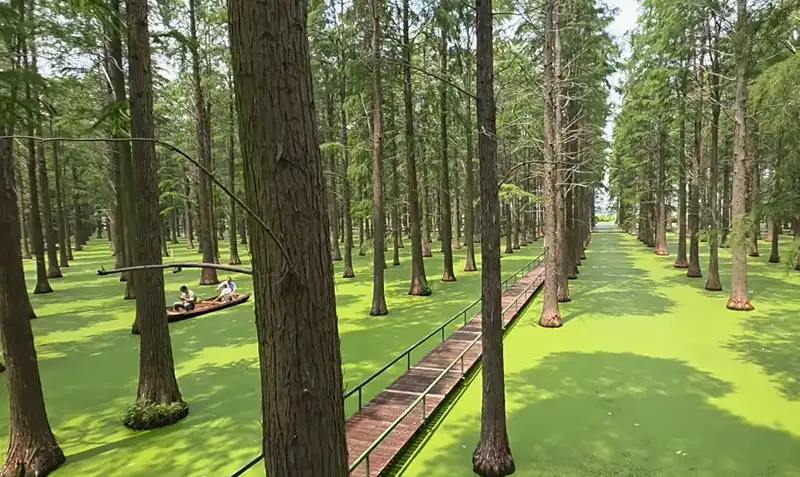 Водно-болотный парк Луянху - природный заповедник в Янчжоу