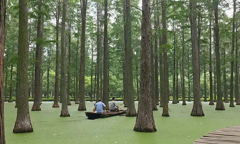 Водно-болотный парк Луянху  