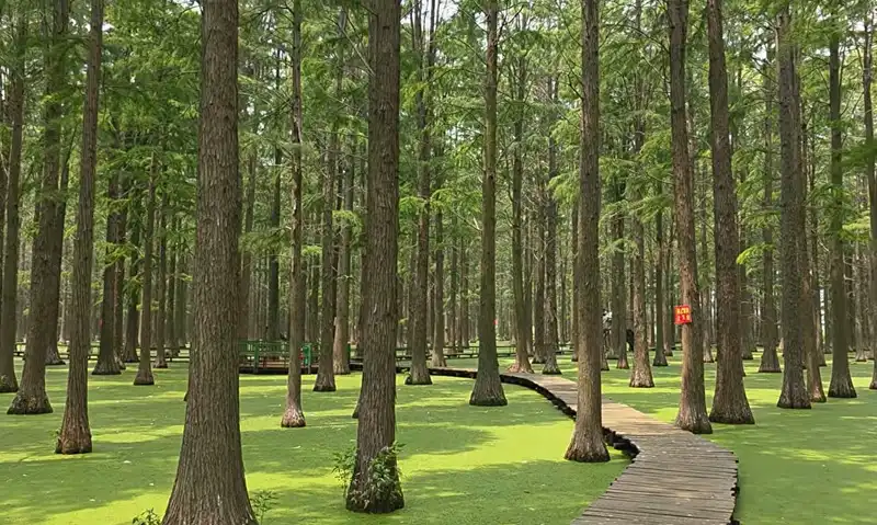Водно-болотный парк Луянху  